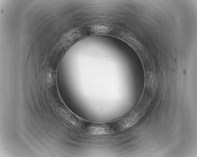 X0000086960655200704231452