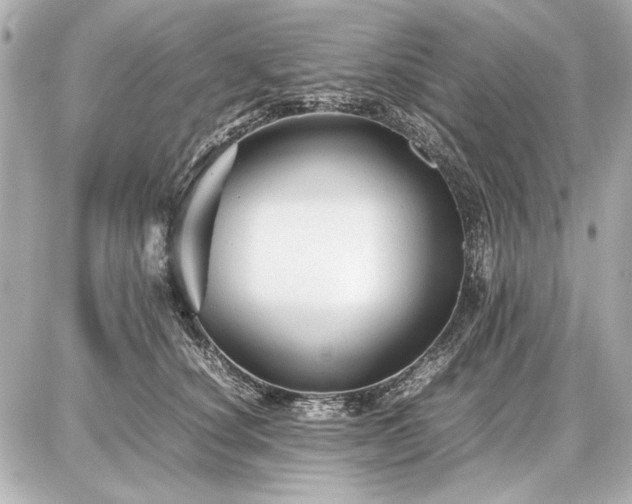 X0000086960660200704231452