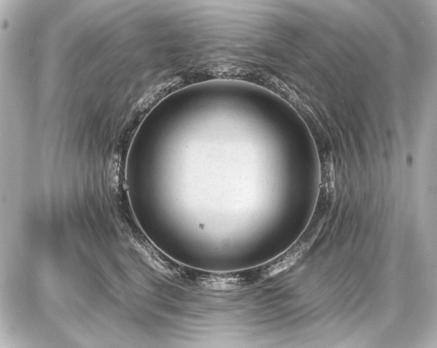 X0000086960664200704231452