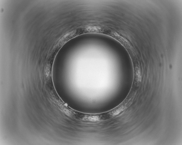 X0000086960665200704231452