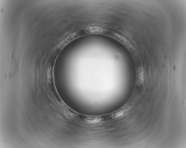 X0000086960667200704231452