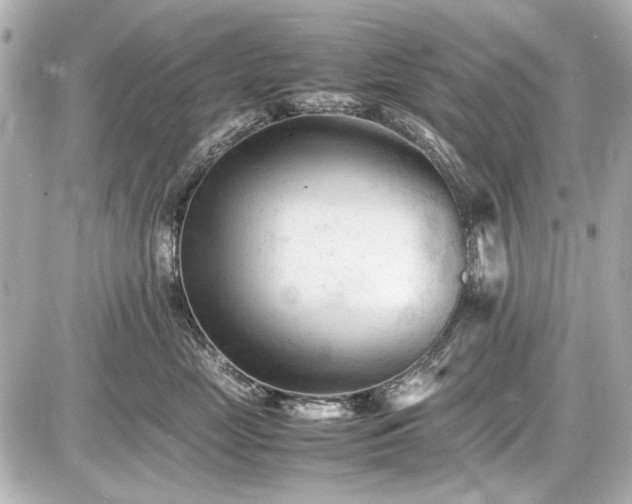 X0000086960669200704231452
