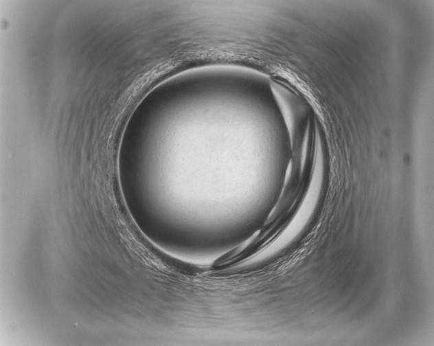 X0000086960673200704231451
