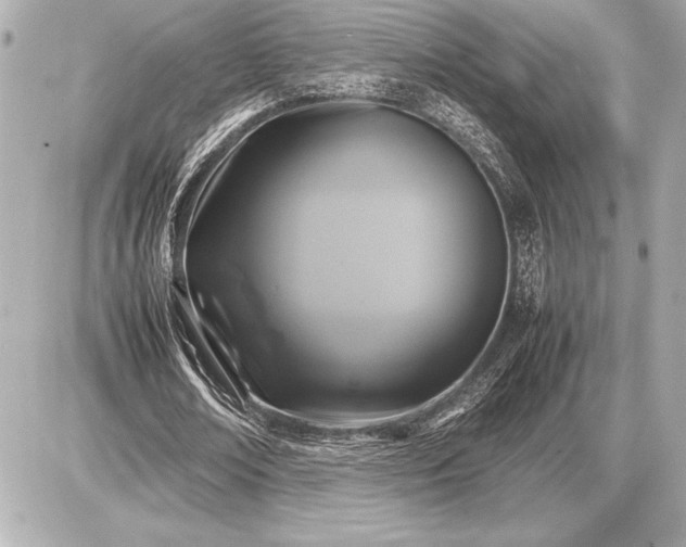 X0000086960674200704231451