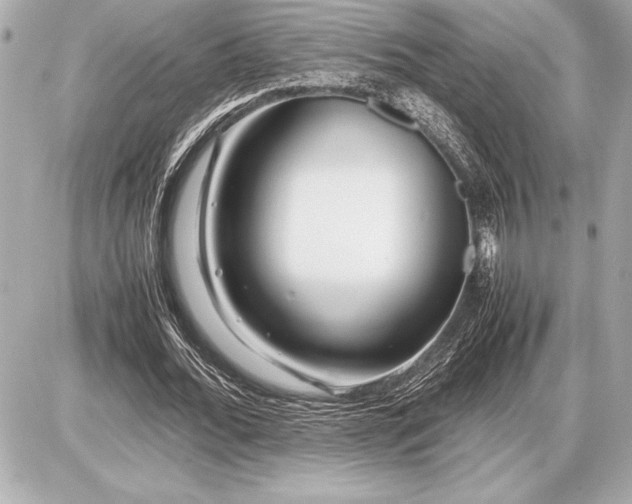 X0000086960676200704231451