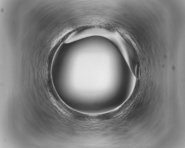 X0000086960677200704231451