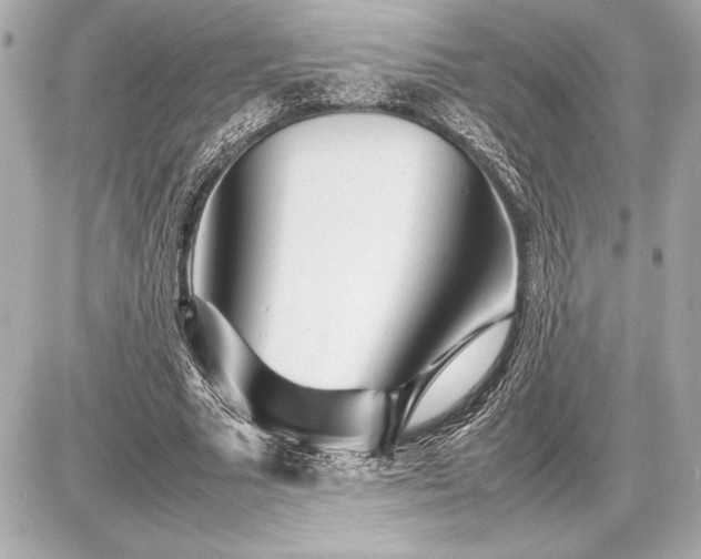 X0000086960681200704231451
