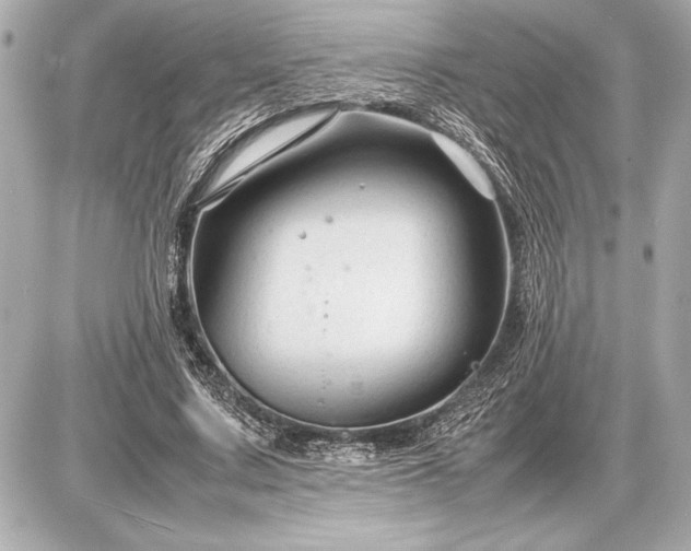 X0000086960683200704231451