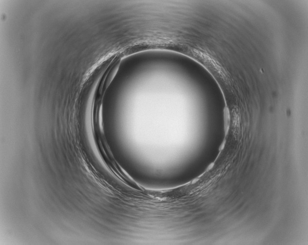 X0000086960684200704231451