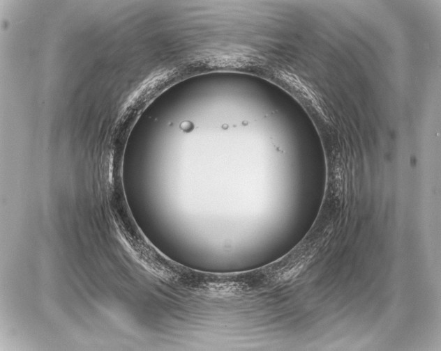 X0000086960686200704231451