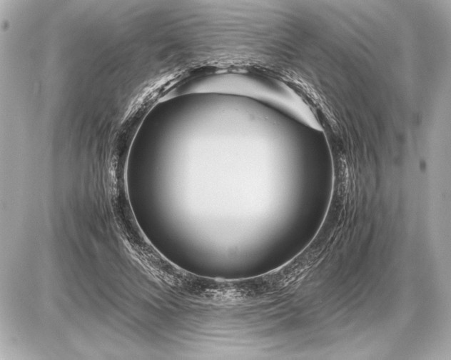 X0000086960688200704231451