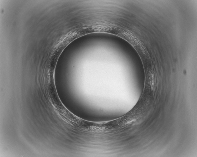 X0000086960690200704231451