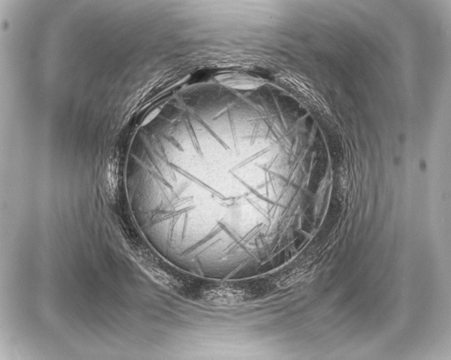 X0000086960691200704231451