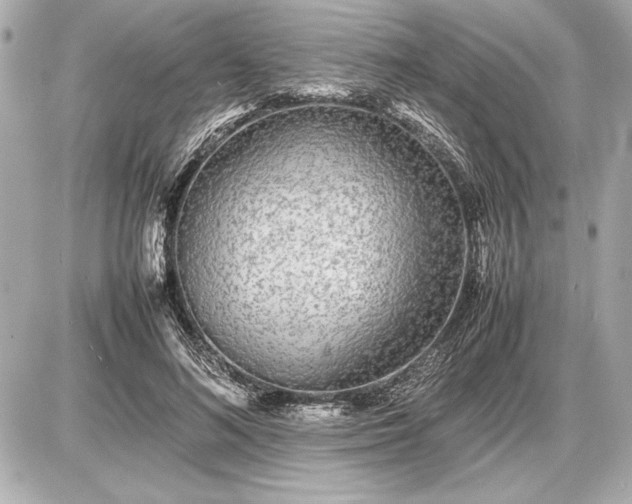X0000086960692200704231451
