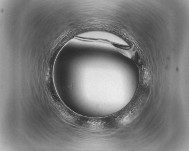 X0000086960693200704231451