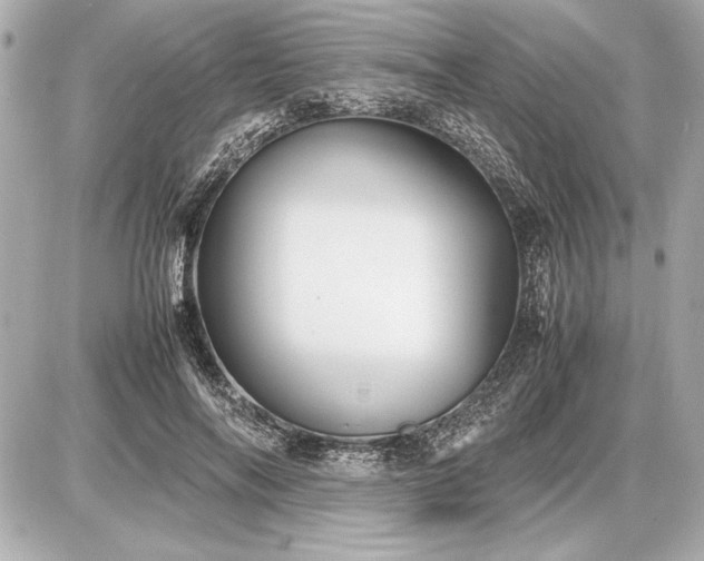 X0000086960694200704231451