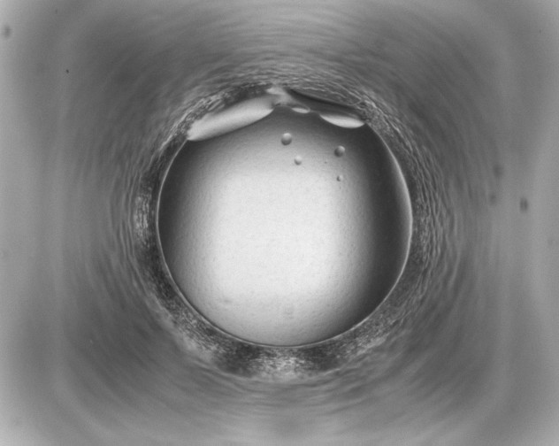 X0000086960695200704231451