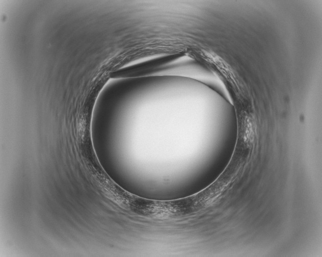 X0000086960697200704231451