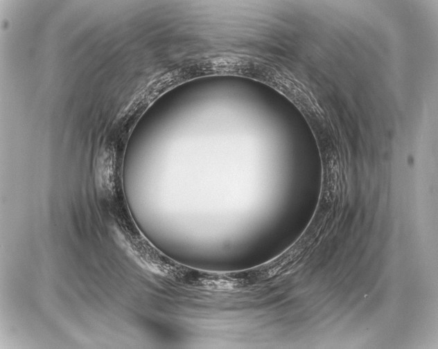 X0000086960698200704231451