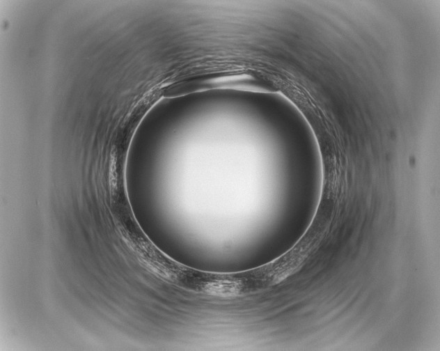 X0000086960700200704231451