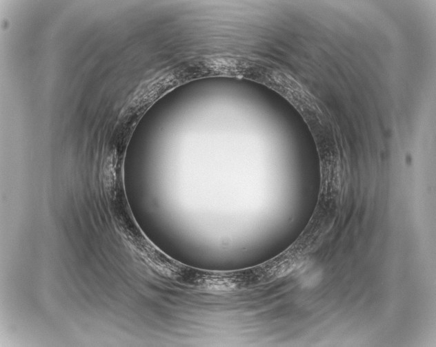 X0000086960702200704231451