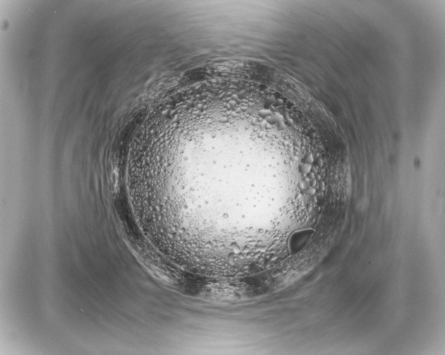 X0000086960703200704231451