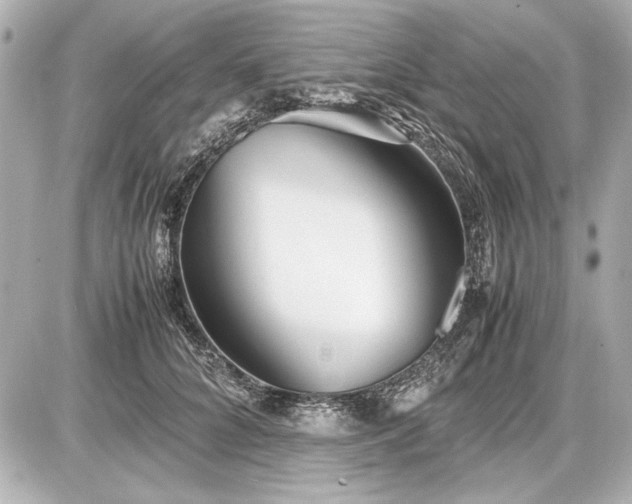 X0000086960704200704231451