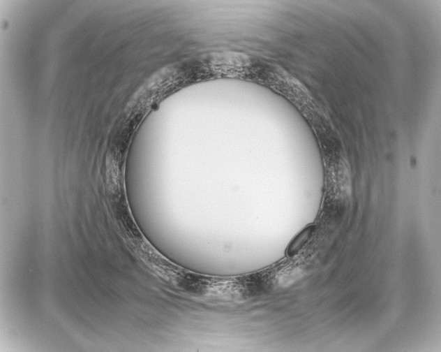 X0000086960705200704231451