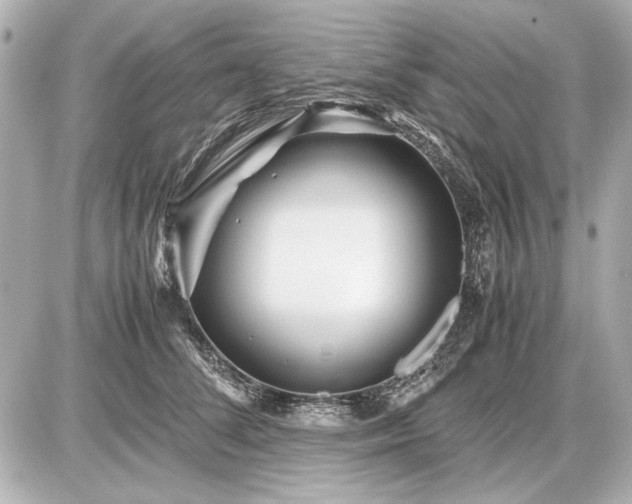 X0000086960708200704231451