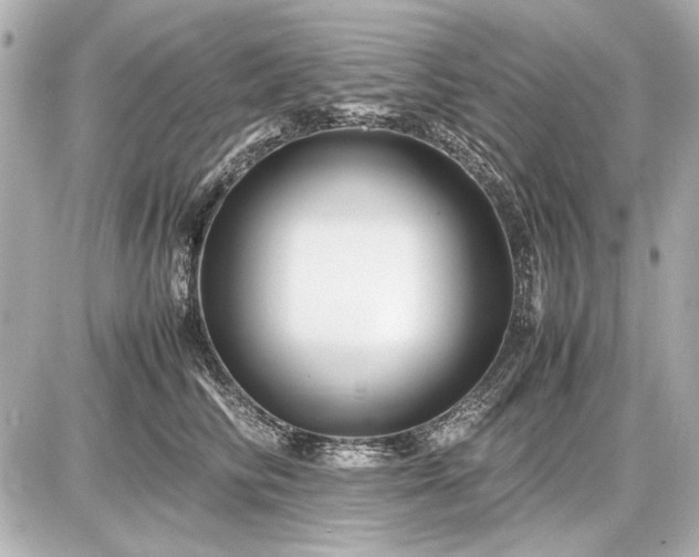 X0000086960710200704231450