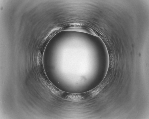 X0000086960712200704231450