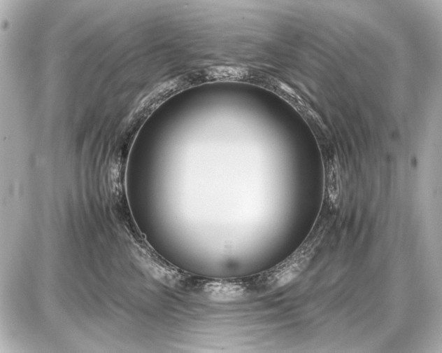 X0000086960714200704231450