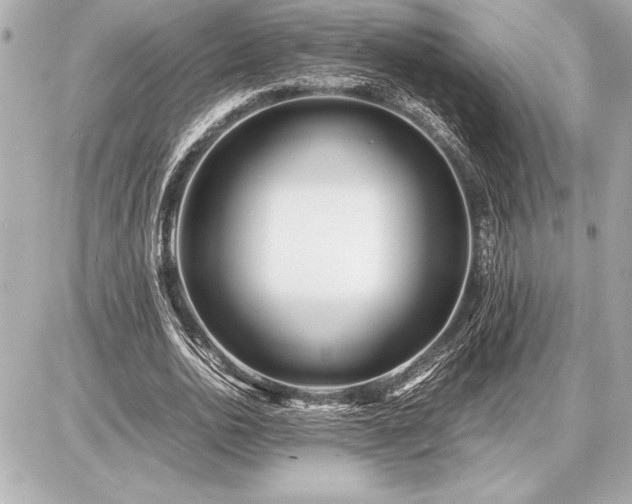 X0000086960726200704231450