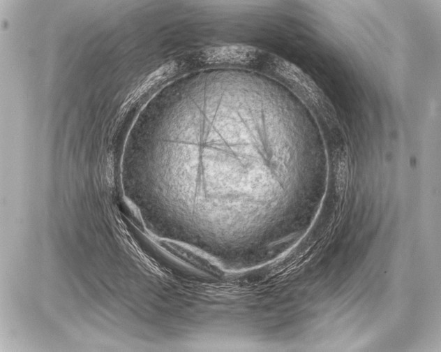 X0000086960729200704231450
