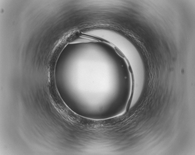 X0000086960734200704231450