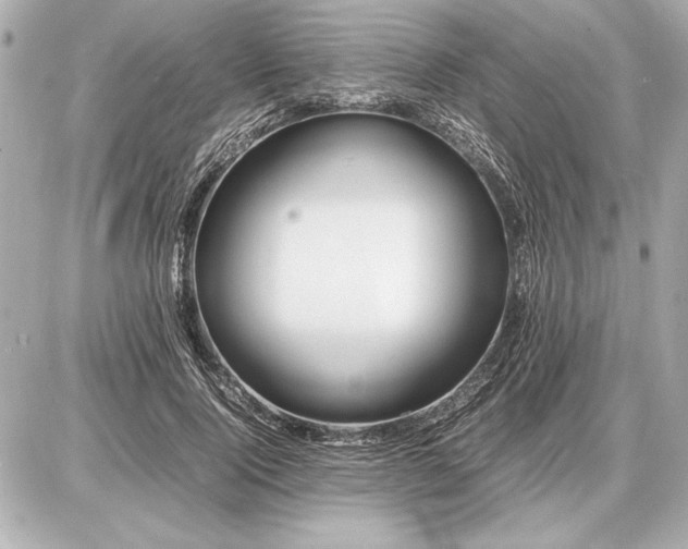 X0000086960740200704231450