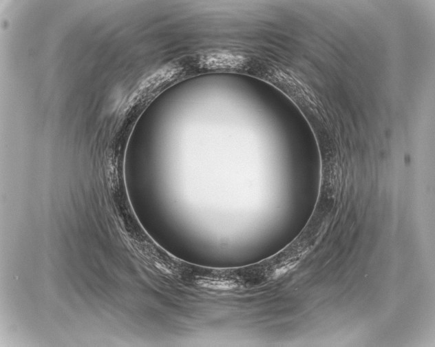 X0000086960743200704231450