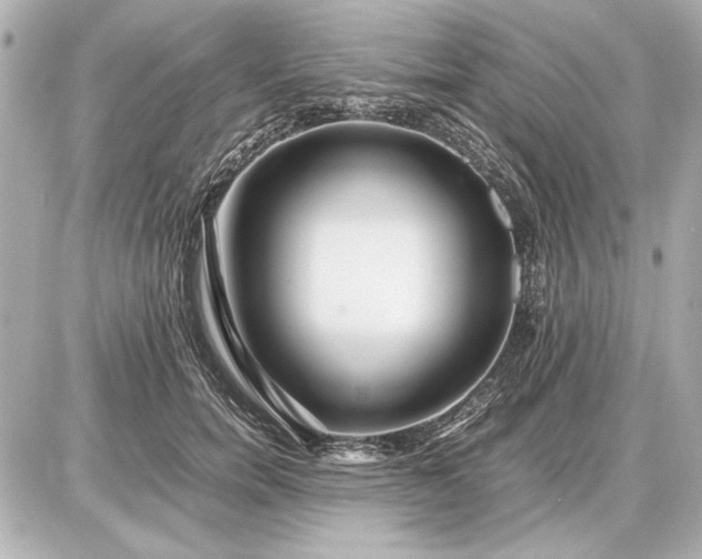 X0000086960750200704231450