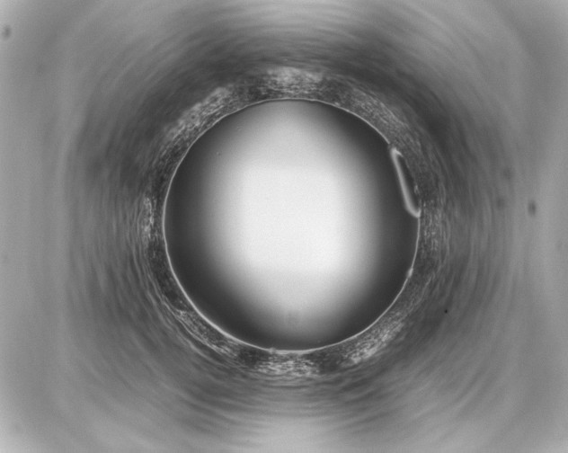 X0000086960752200704231450