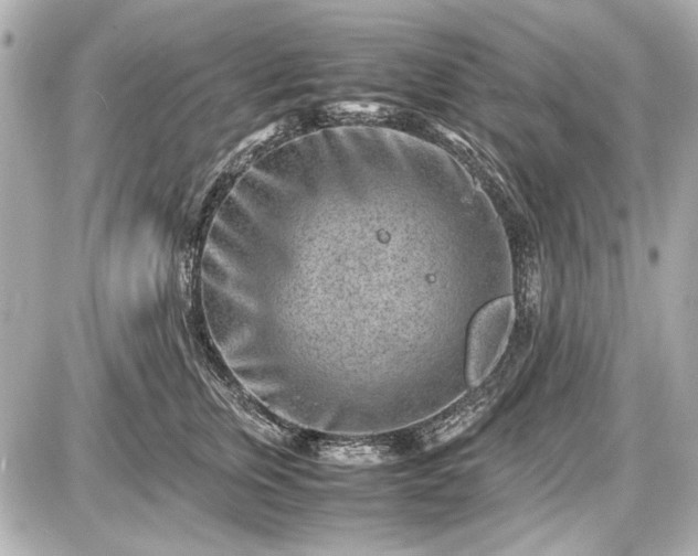 X0000086960759200704231450