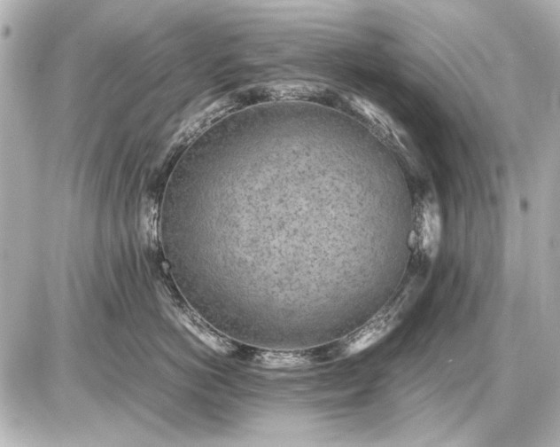 X0000086960766200704231450