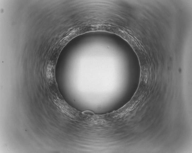 X0000086960770200704231450