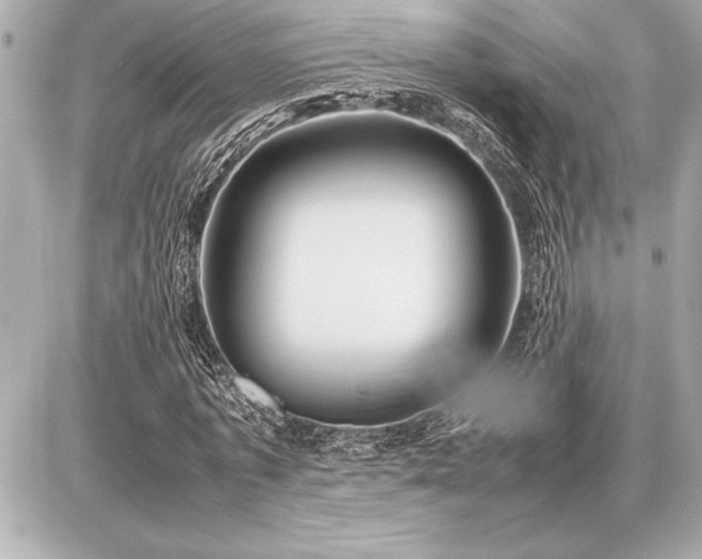 X0000086960773200704231449