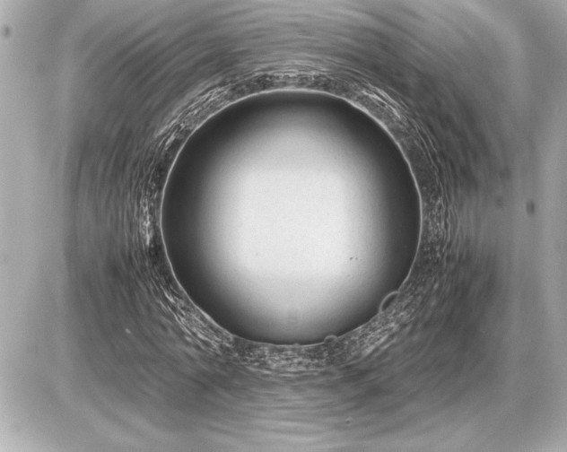 X0000086960774200704231449