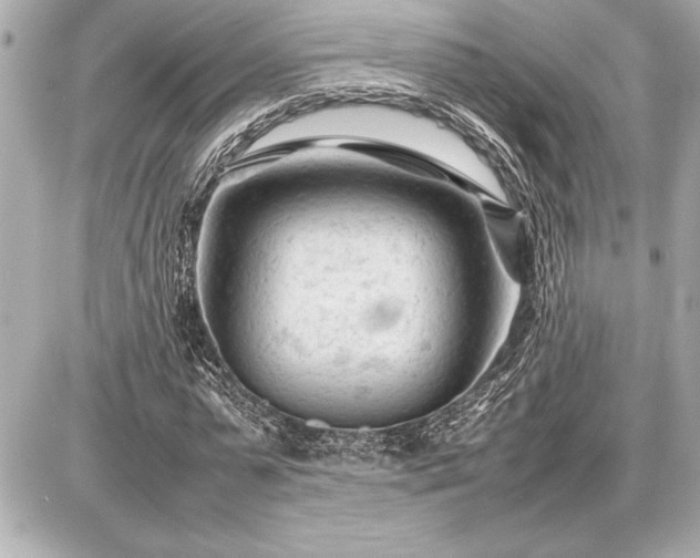 X0000086960775200704231449