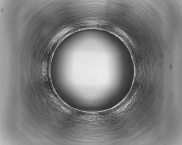 X0000086960778200704231449