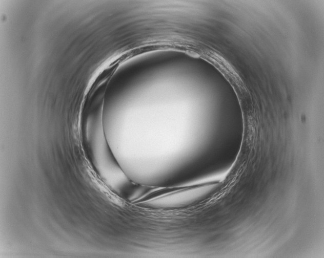 X0000086960788200704231449