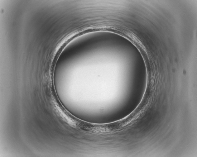 X0000086960789200704231449