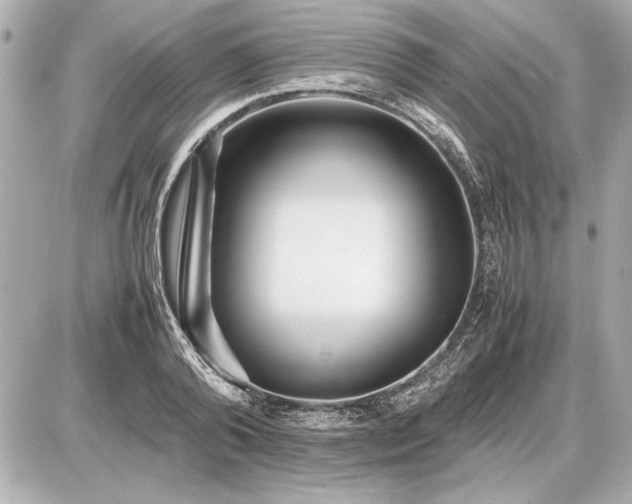 X0000086960792200704231449