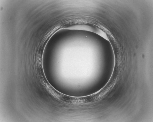 X0000086960793200704231449